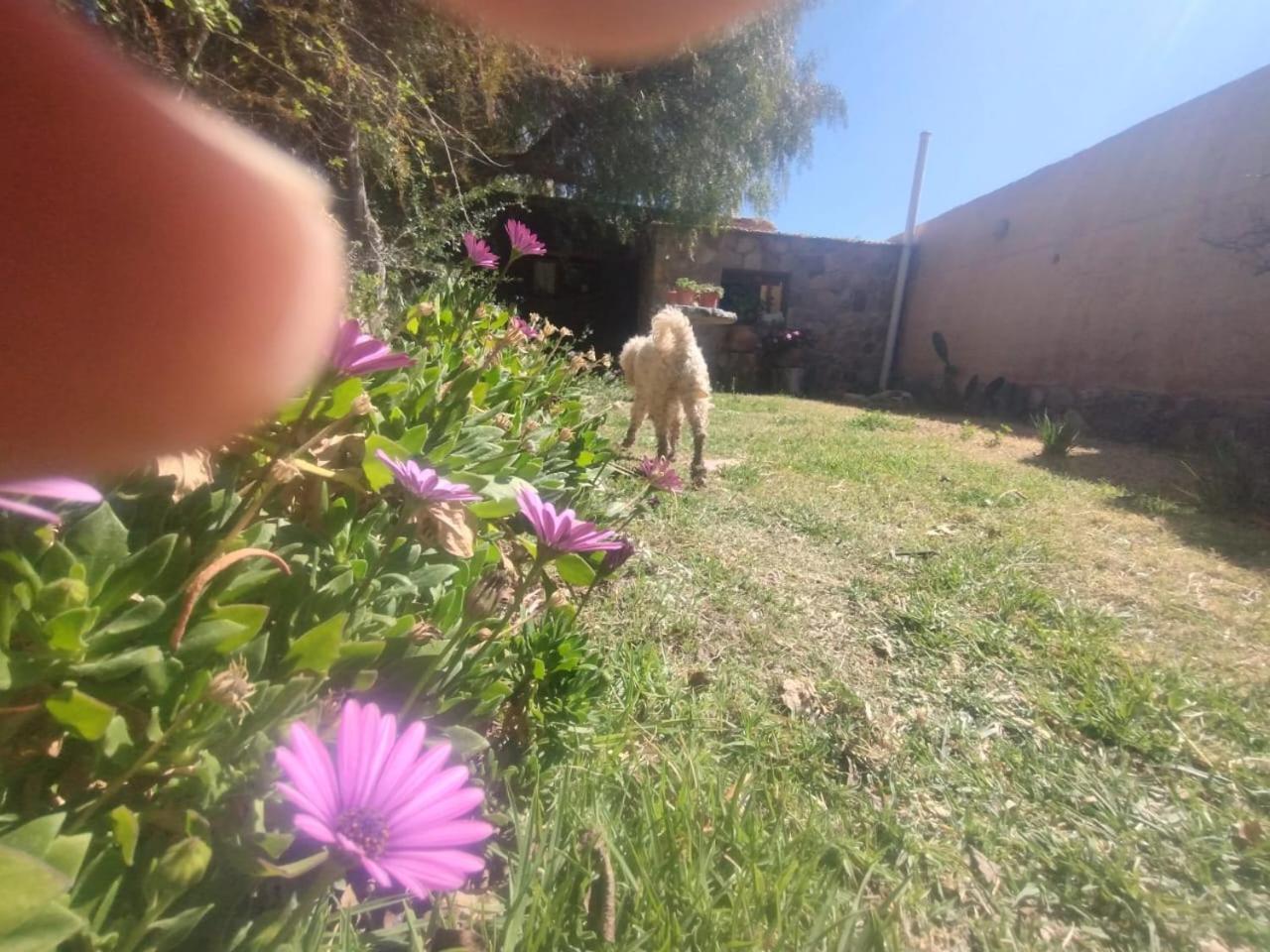La Casita 호텔 틸카라 외부 사진