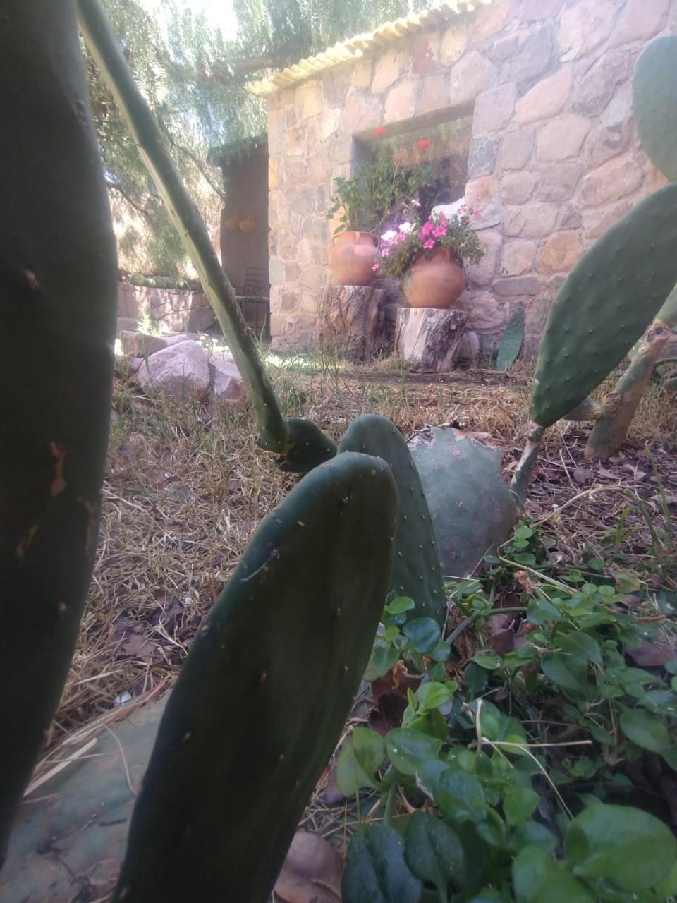 La Casita 호텔 틸카라 외부 사진