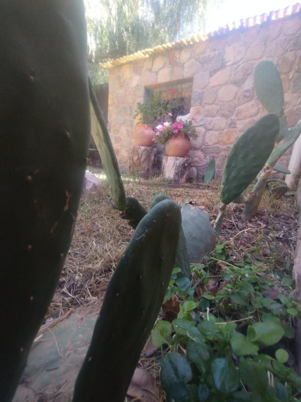 La Casita 호텔 틸카라 외부 사진